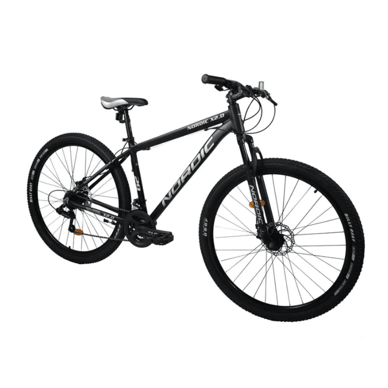 BICICLETA NORDIC 2.0 NG/GR